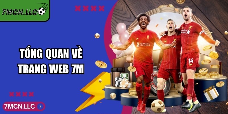 7MCN Soc - Trực Tuyến Tỷ Số Bóng Đá 7M Mới Nhất Hôm Nay 1 Tổng quan về trang web 7M